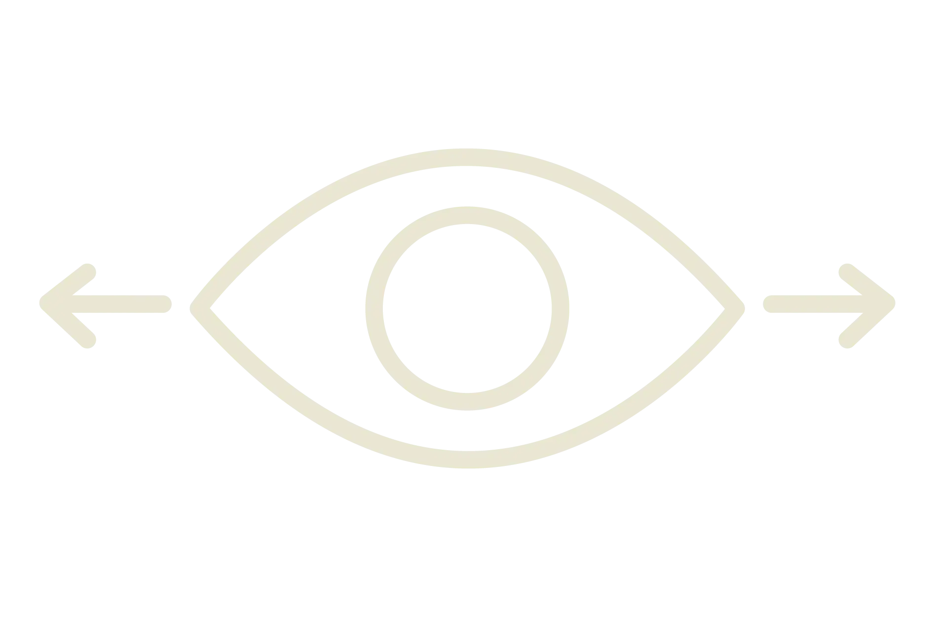 Wide-angle vision icon