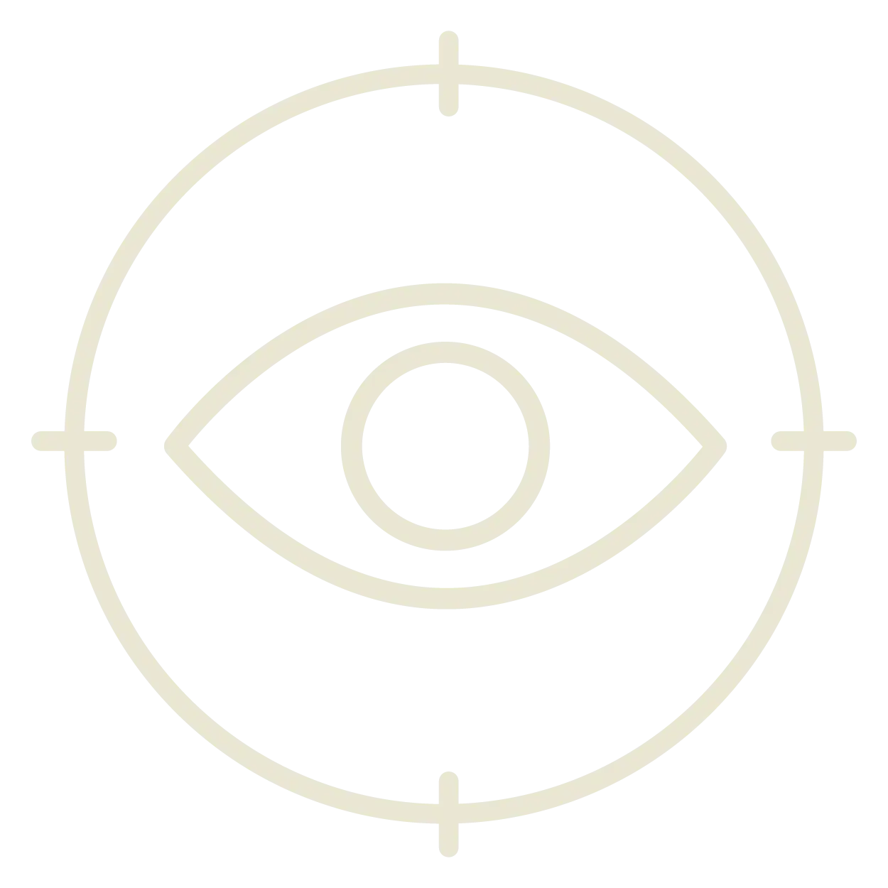 Icon representing centered focus and optical alignment.