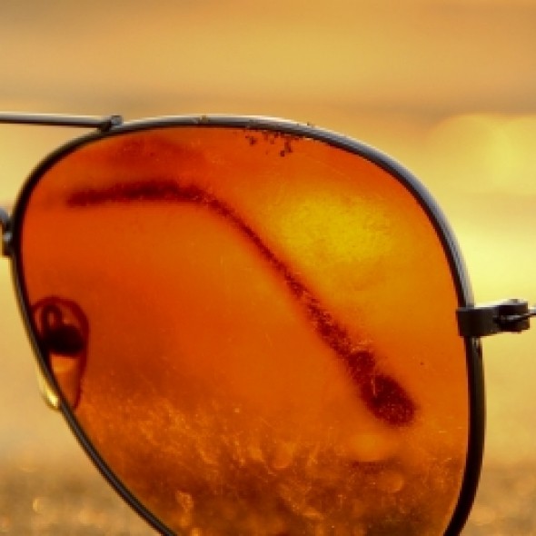 sunglasses in the sunshine