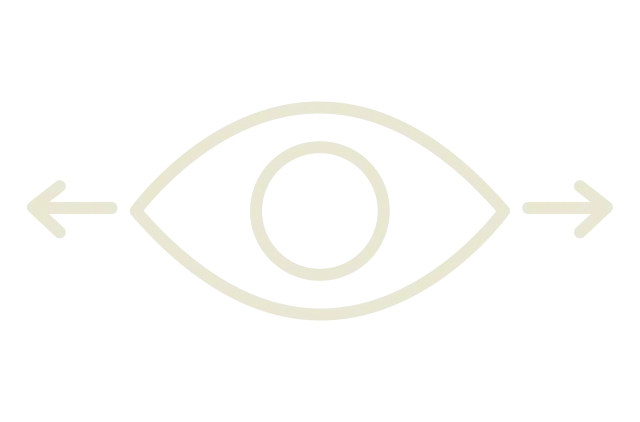 Wide-angle vision icon