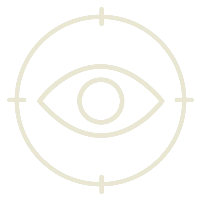 Icon representing centered focus and optical alignment.