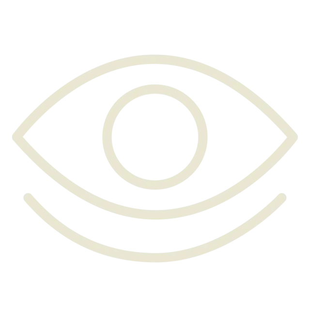 Icon symbolizing vision care and clarity.